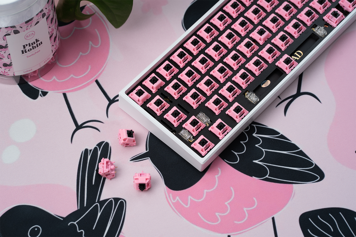 KFA Pink Robin Switches - KeebsForAll