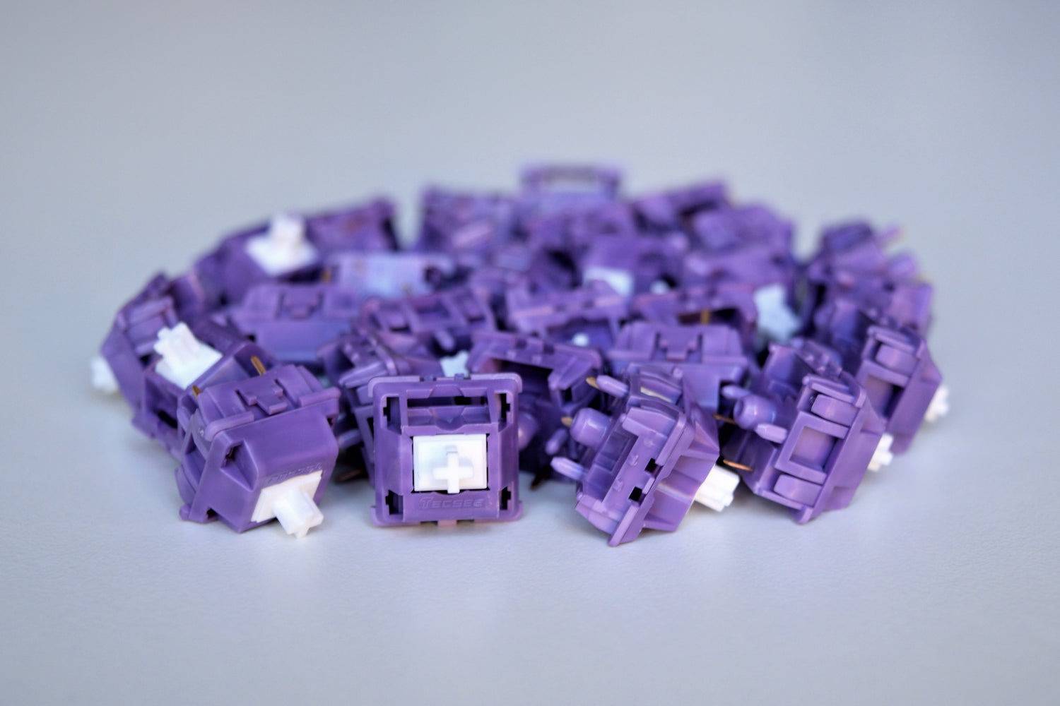 Group view of the Tecsee Purple Panda Tactile Switches